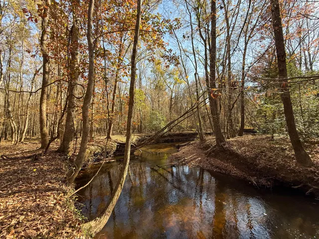 $1,124,550 | 0 Mill Creek, Bethune, SC 29009