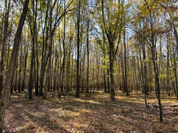 $1,124,550 | 0 Mill Creek, Bethune, SC 29009