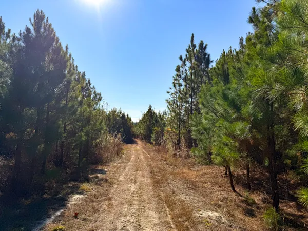 $1,124,550 | 0 Mill Creek, Bethune, SC 29009