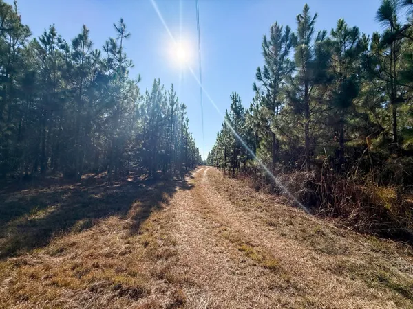 $1,124,550 | 0 Mill Creek, Bethune, SC 29009