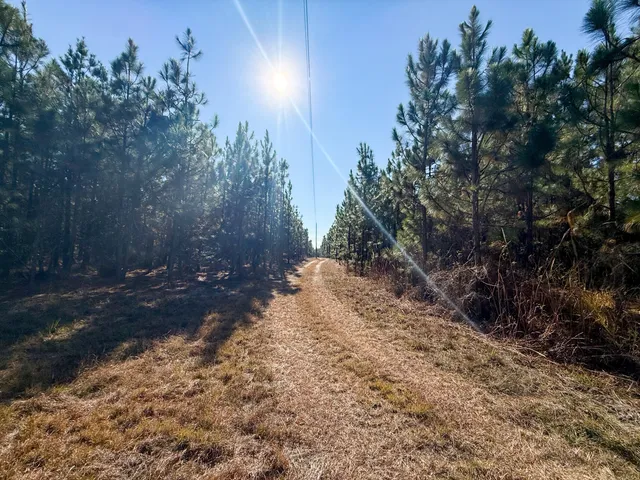 $1,124,550 | 0 Mill Creek, Bethune, SC 29009