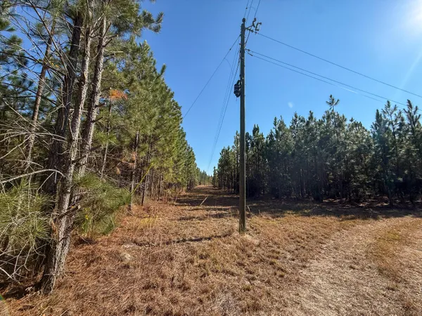 $1,124,550 | 0 Mill Creek, Bethune, SC 29009