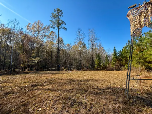 $1,124,550 | 0 Mill Creek, Bethune, SC 29009