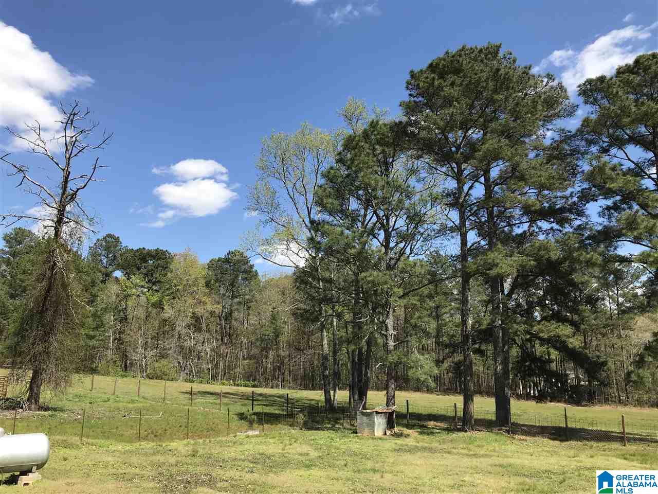 346 Hunters Lane Vandiver, AL 35176 - Photo 16 of 38