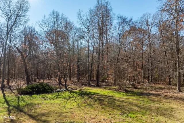 $750,000 | 500 Urbana Road, Limestone, TN 37681