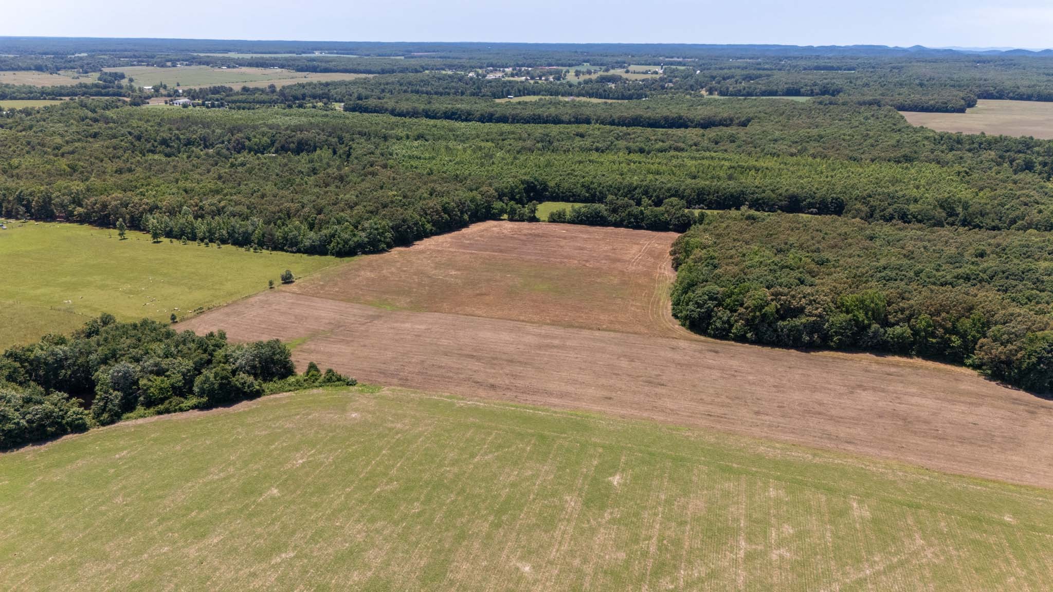 0 Brown Road Woodbury, TN 37190 - Photo 11 of 34