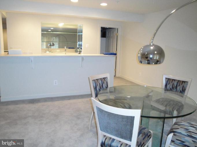 8517 Snowreath Road, Unit 8517 Pikesville, MD 21208 - Photo 21 of 27 Recreation Room #2