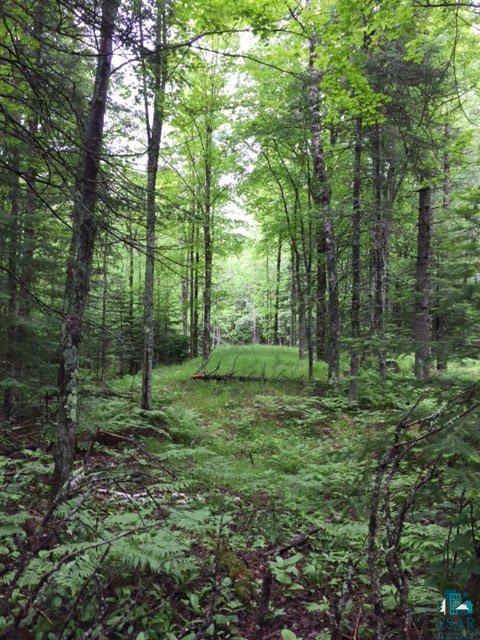 Two Two Harbors Road Two Harbors, MN 55616 - Photo 12 of 24