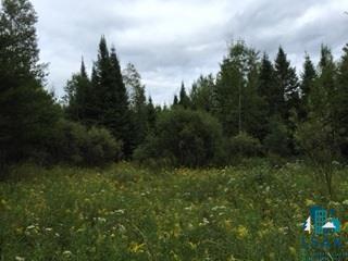 Two Two Harbors Road Two Harbors, MN 55616 - Photo 17 of 24