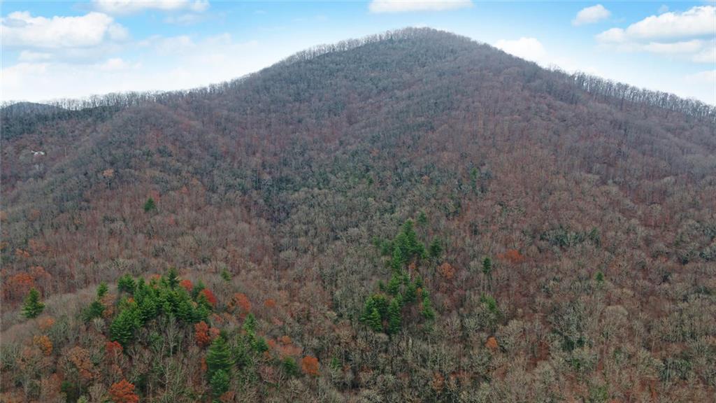Undisclosed Address Rabun Gap, GA 30568 - Photo 86 of 100
