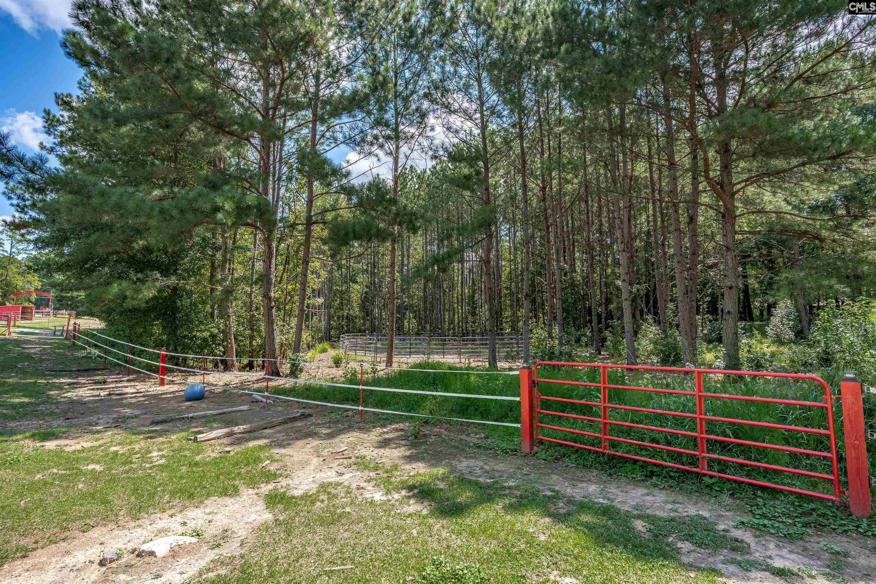 129 Jim Koon Road Irmo, SC 29063 - Photo 70 of 99 Gallery Image 70