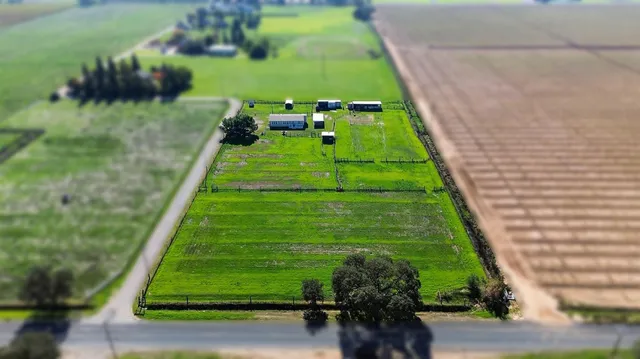 a green field with lots of trees