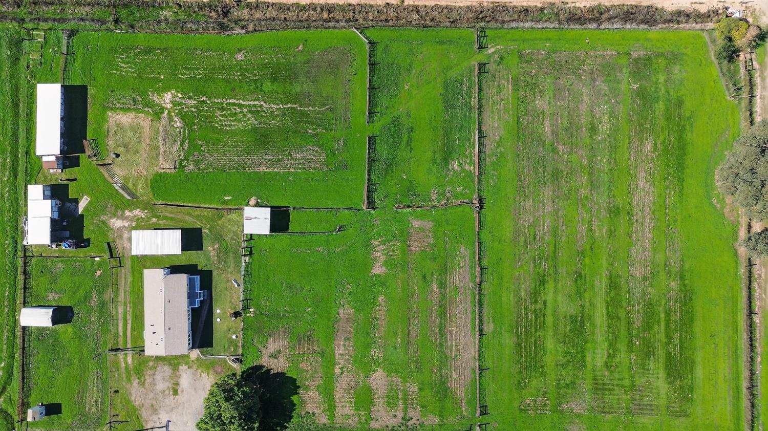11900 Brandt Road Lockeford, CA 95237 - Photo 40 of 49 a green field with trees in the background