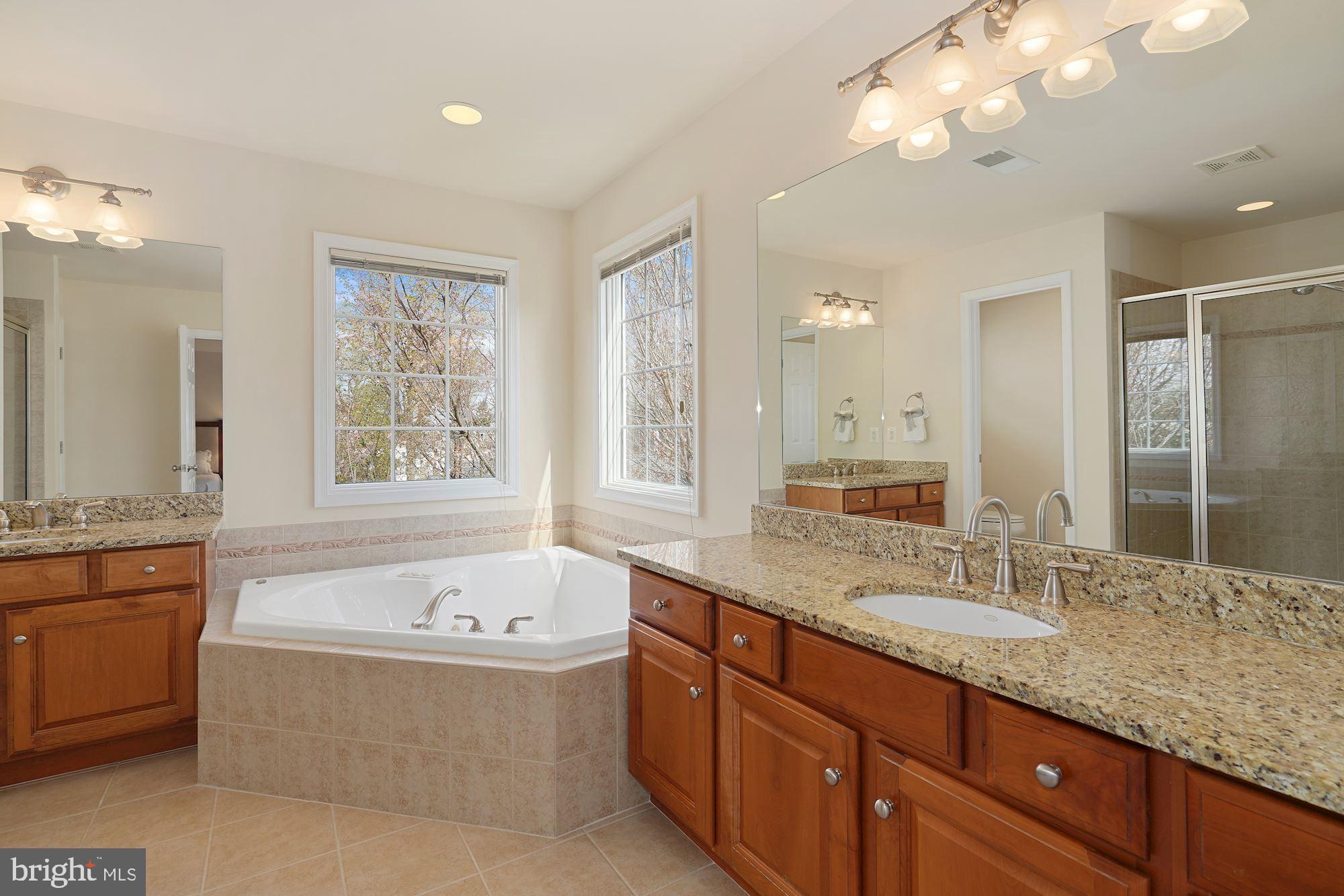 4036 24th Road North Arlington, VA 22207 - Photo 19 of 40 Primary Bath