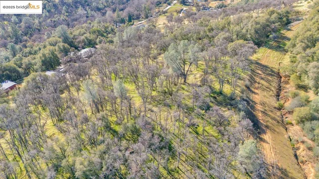a aerial view of a house with a yard and large tree