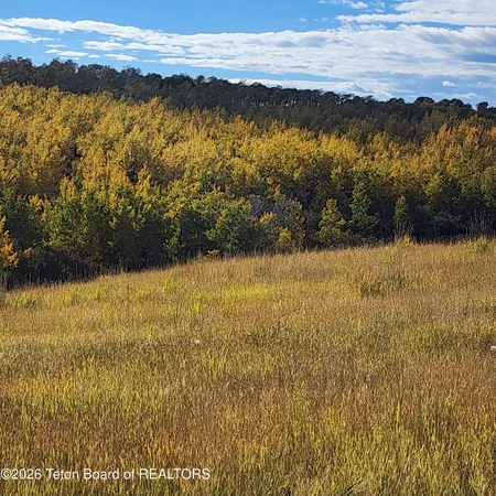 $954,000 | 4600 East N, Ashton, ID 83420