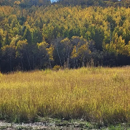 $954,000 | 4600 East N, Ashton, ID 83420