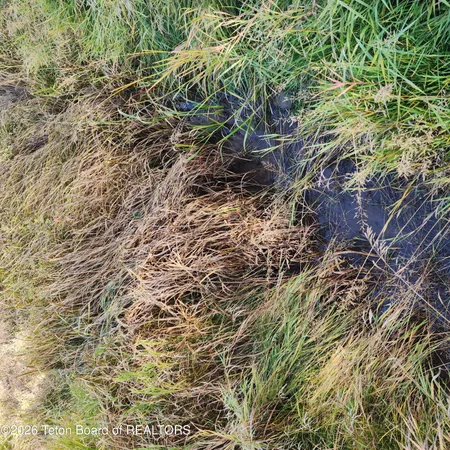 $954,000 | 4600 East N, Ashton, ID 83420