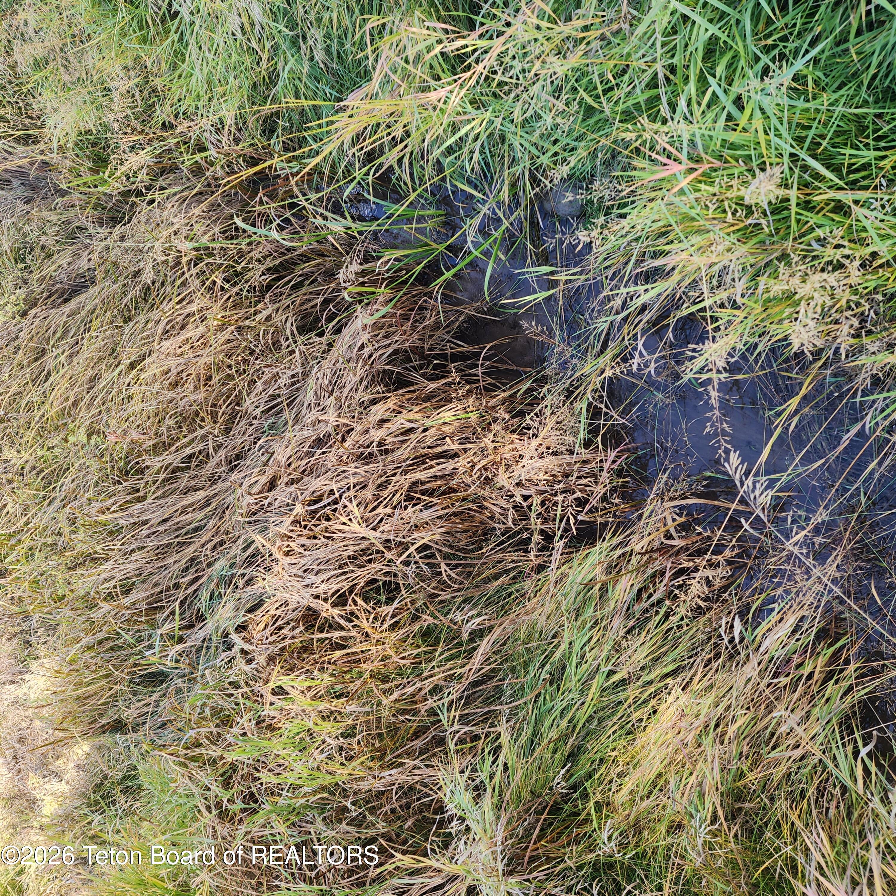 4600 East N Ashton, ID 83420 - Photo 22 of 23 20231005_161015