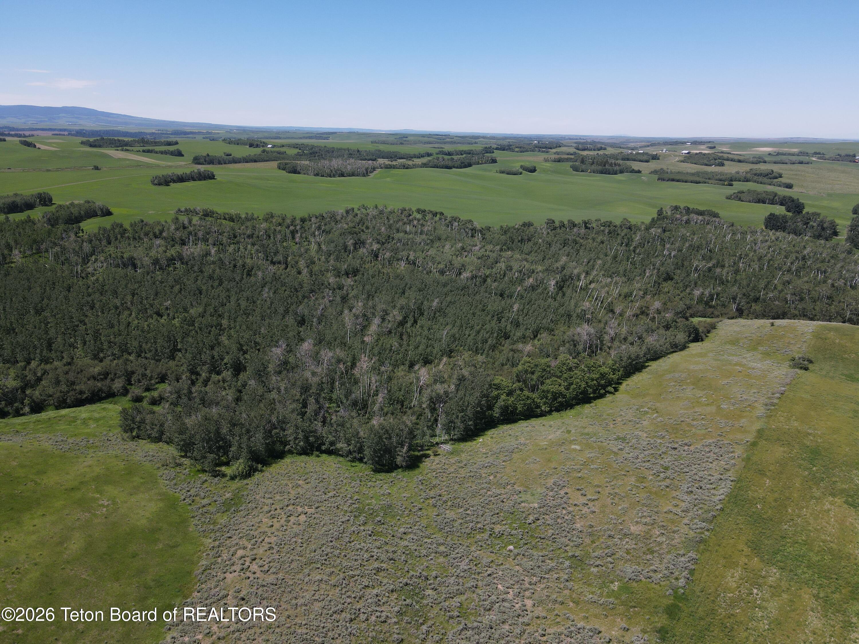 4600 East N Ashton, ID 83420 - Photo 7 of 23 DJI_0920