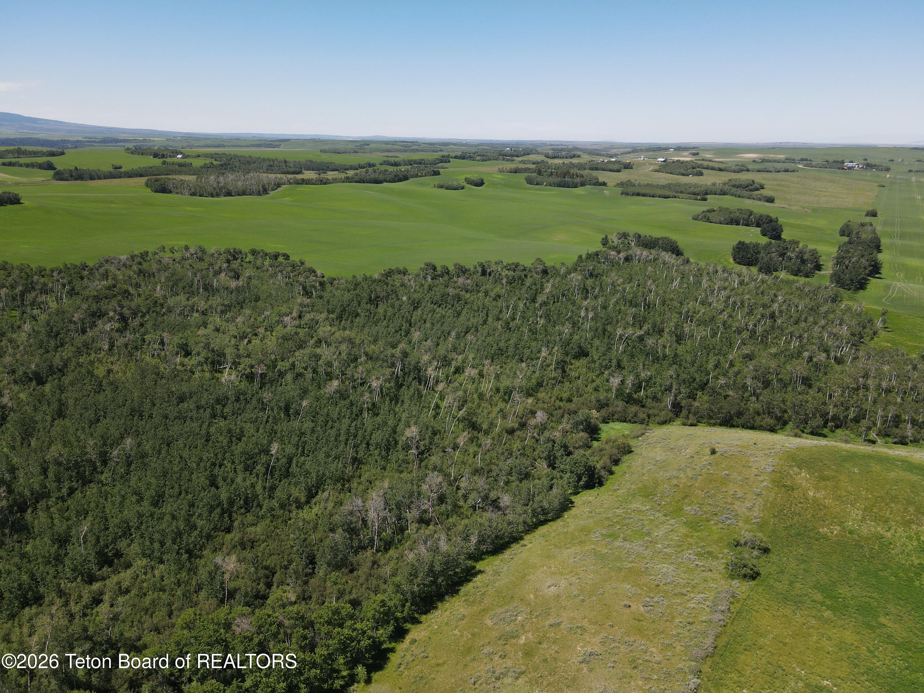 4600 East N Ashton, ID 83420 - Photo 9 of 23 DJI_0922