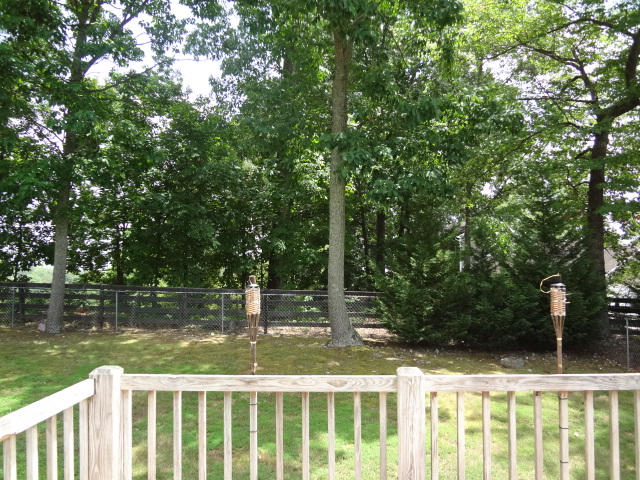 4800 Ridgedale Road Knoxville, TN 37921 - Photo 19 of 29 DSC00454