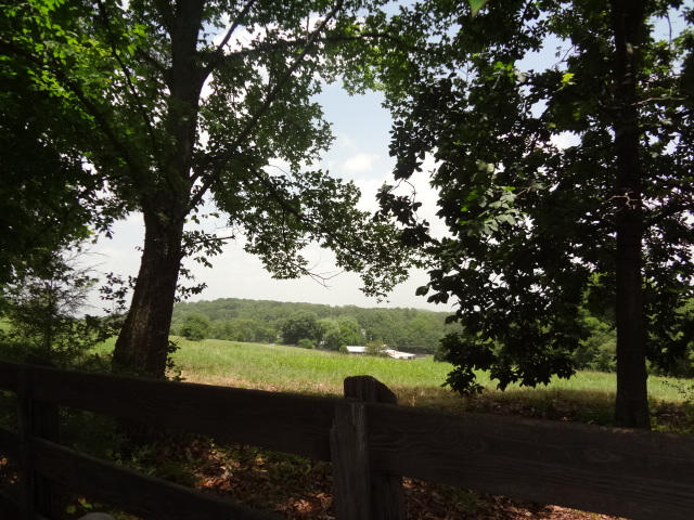 4800 Ridgedale Road Knoxville, TN 37921 - Photo 22 of 29 DSC00457