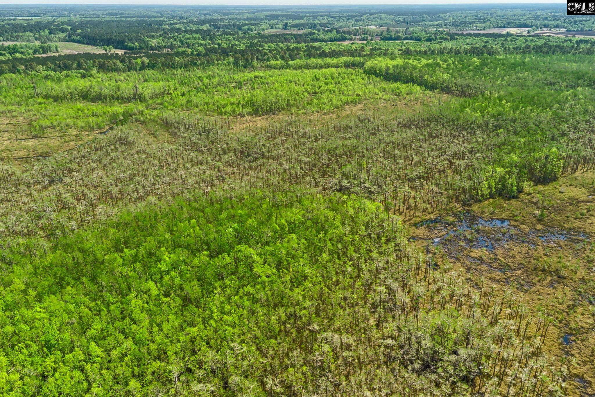 Tbd Alligator Road Olar, SC 29843 - Photo 24 of 24