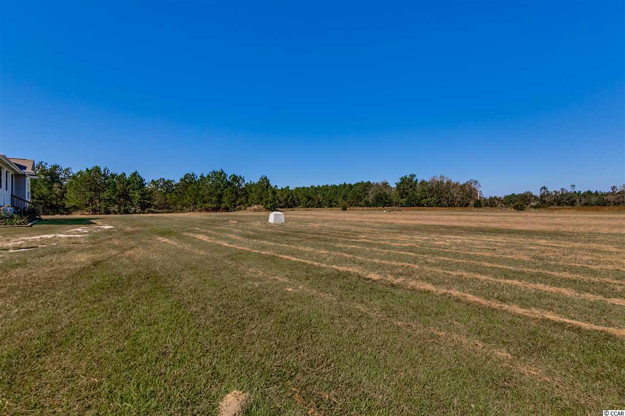 4003 Buffkin Road Green Sea, SC 29545 - Photo 24 of 25 Gallery Image 24