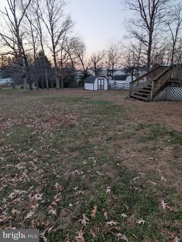 a view of a yard with large trees