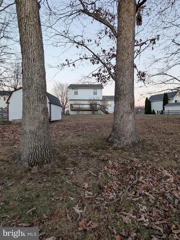 a view of dirt yard with a tree