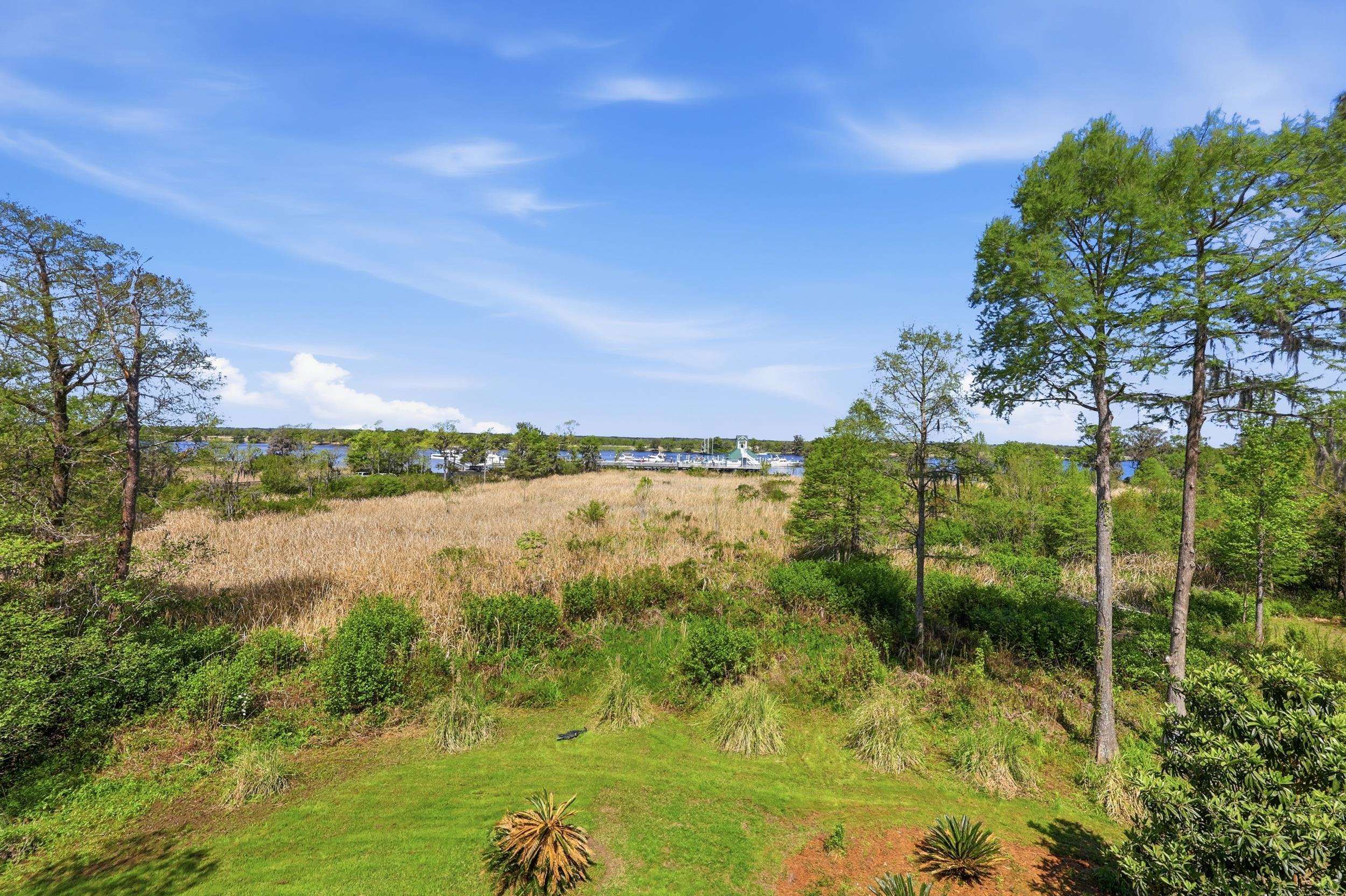 292 Portrush Loop Pawleys Island, SC 29585 - Photo 58 of 97