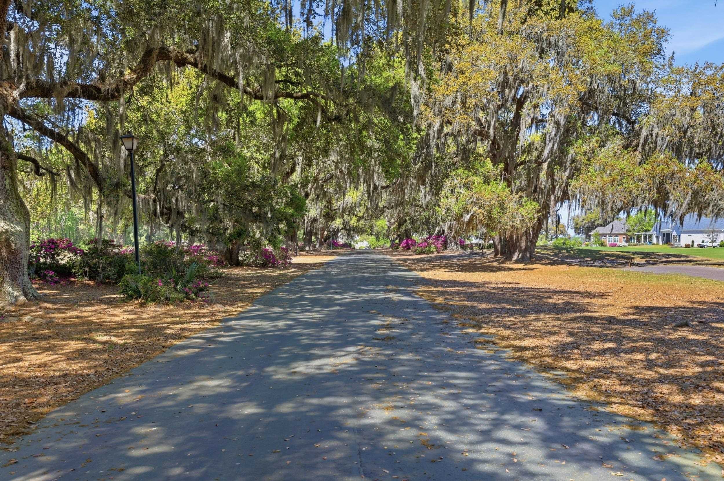 292 Portrush Loop Pawleys Island, SC 29585 - Photo 81 of 97