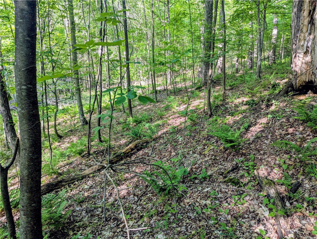 0 Two 2 Mile Road Port Allegany, PA 16743 - Photo 22 of 29
