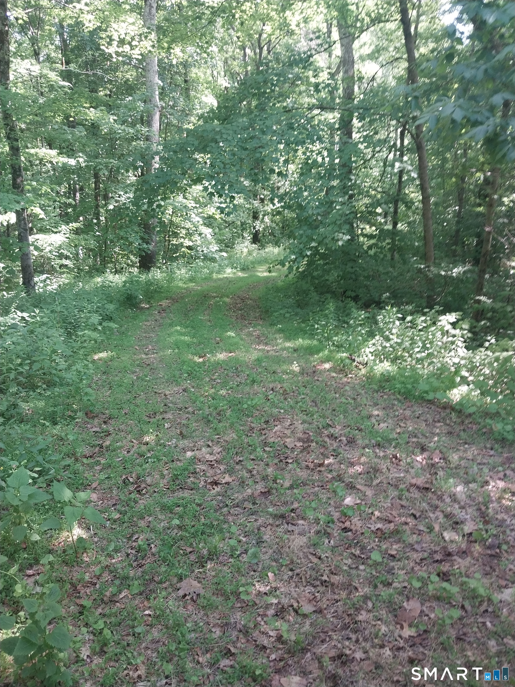 Mount Mauwee Road South Kent, CT 06785 - Photo 3 of 10