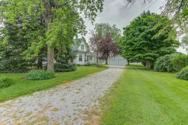 a view of a yard with plants and large trees