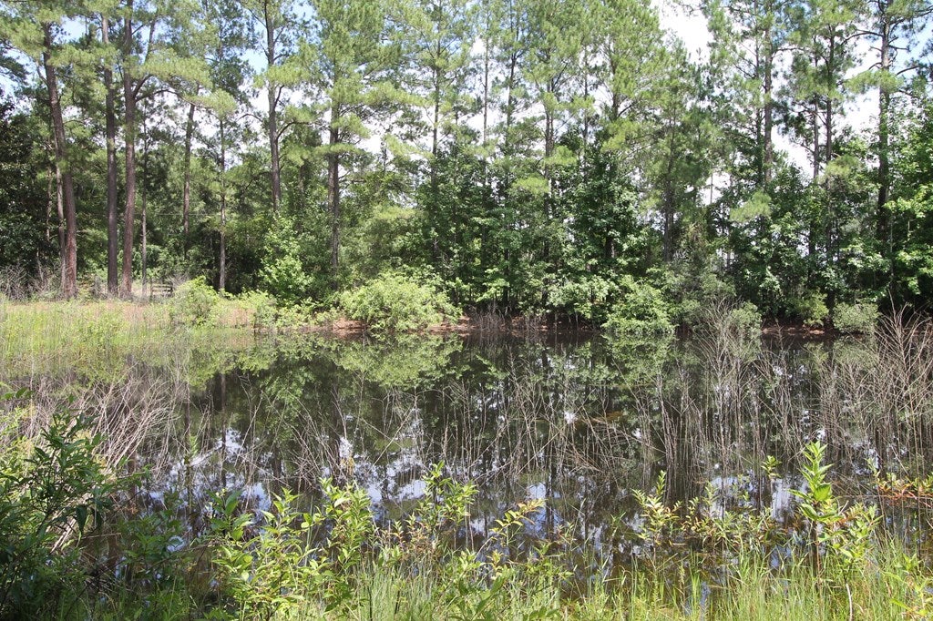 5380 Knights Ferry Road Valdosta, GA 31601 - Photo 23 of 25 Gallery Image 23