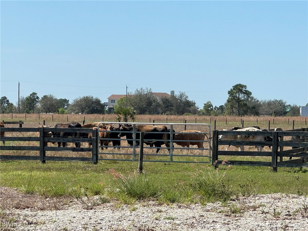 49005 Bermont Road Punta Gorda, FL 33982 - Photo 11 of 48 Gallery Image 11