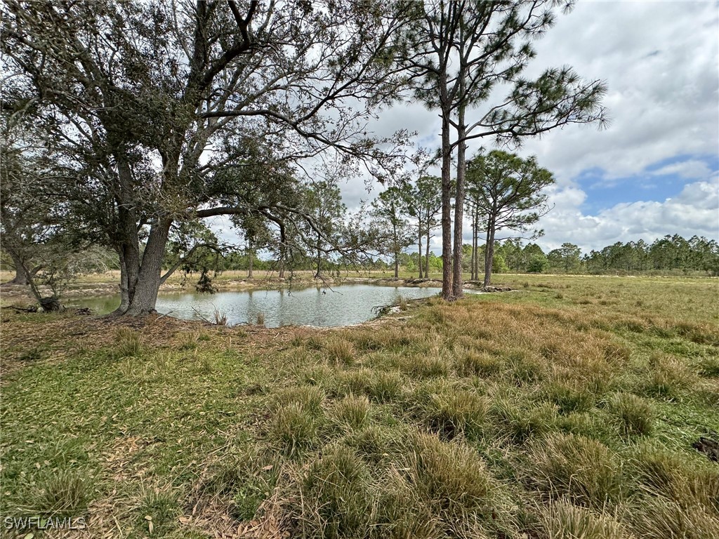 49005 Bermont Road Punta Gorda, FL 33982 - Photo 16 of 48 Gallery Image 16