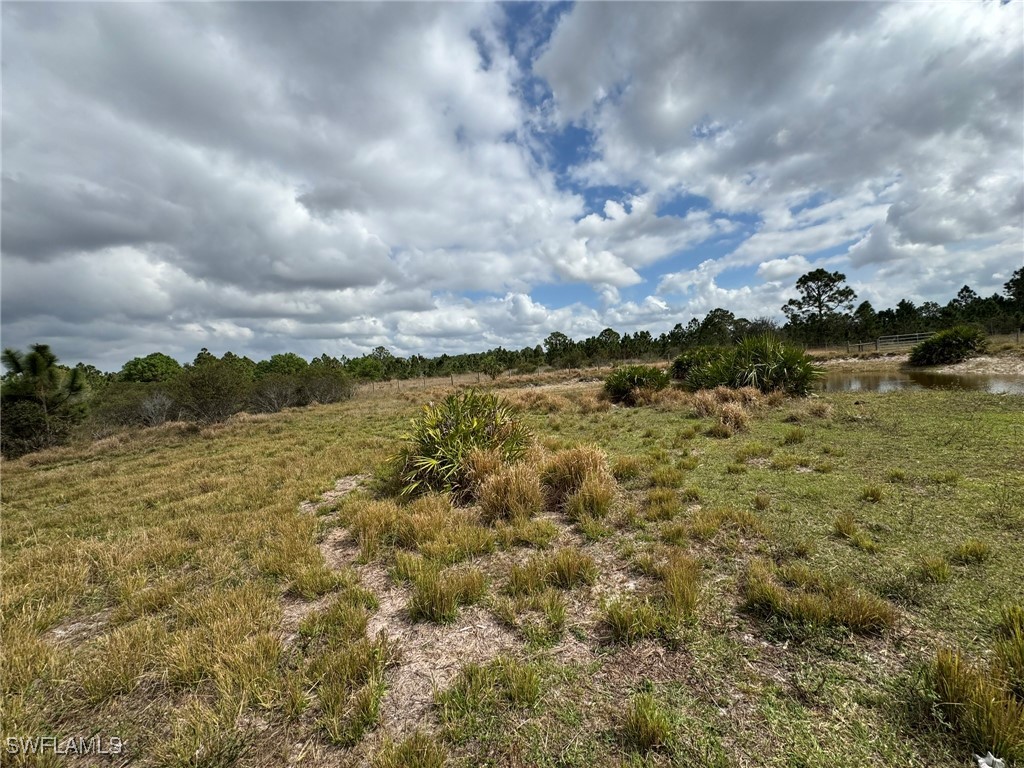 49005 Bermont Road Punta Gorda, FL 33982 - Photo 47 of 48 Gallery Image 47