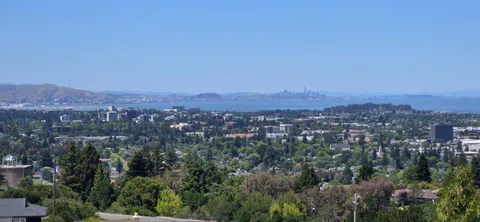 an aerial view of residential house and green space