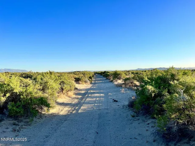 view of city and sky