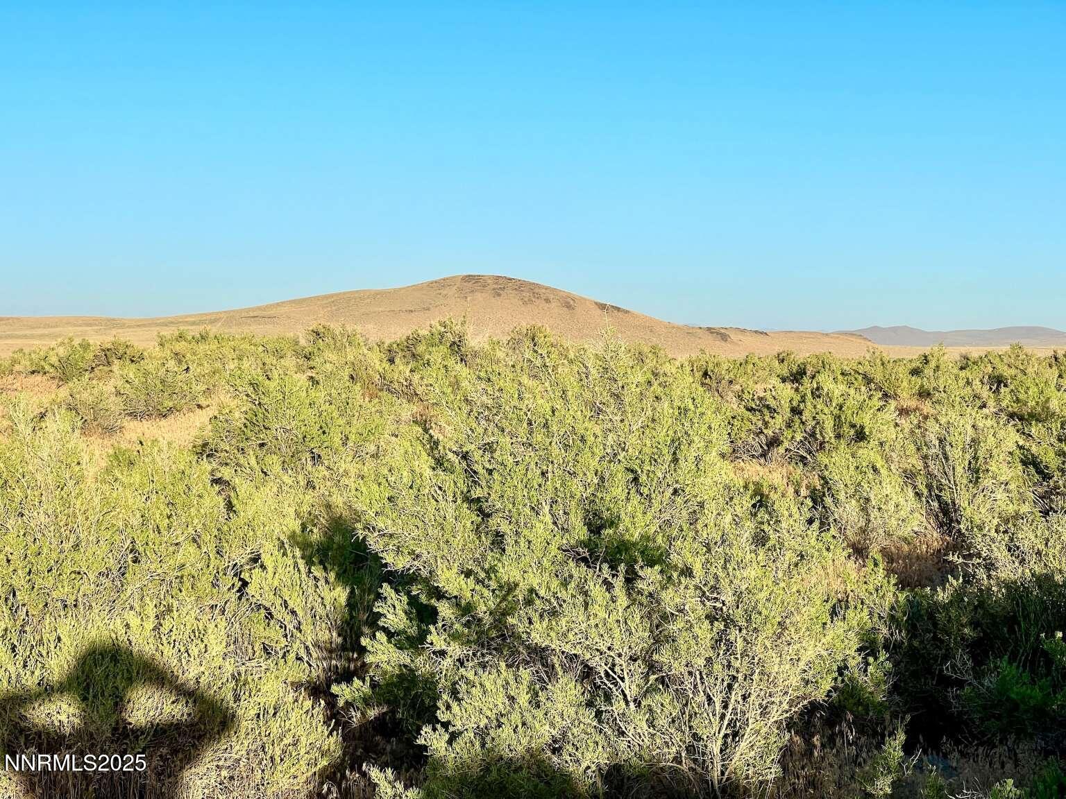 10 Valhalla Road Winnemucca, NV 89445 - Photo 15 of 35 a view of a field