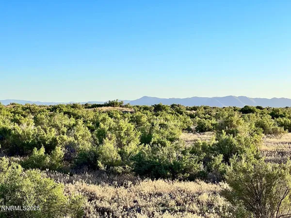 a view of city and mountain