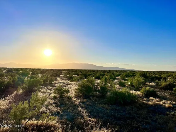 a view of a lot of trees and houses