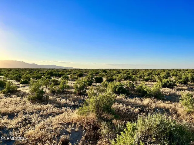 a view of city and ocean