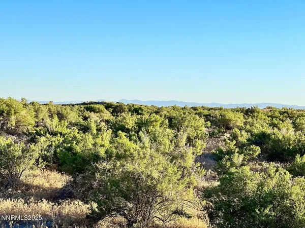 a view of city and ocean
