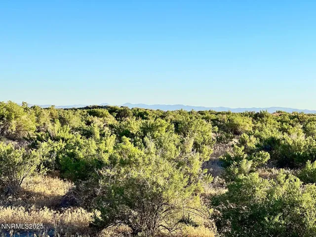 a view of city and ocean