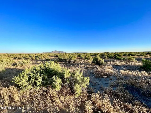 a view of a lot of trees and houses