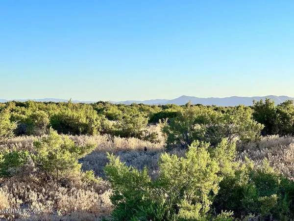 a view of a city with green space